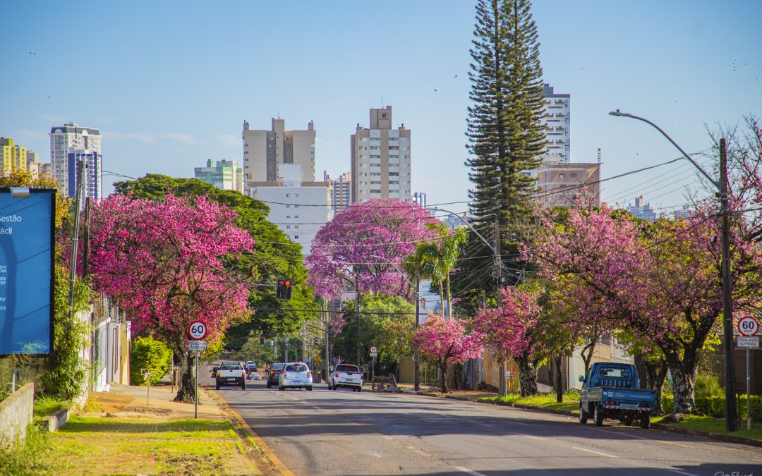 Indenizações